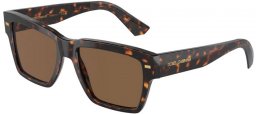 Sunglasses - Dolce & Gabbana - DG4431 - 502/73 HAVANA // DARK BROWN