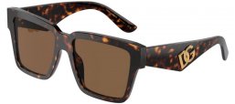 Sunglasses - Dolce & Gabbana - DG4436 - 502/73  HAVANA // DARK BROWN