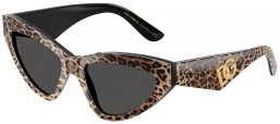 Gafas de Sol - Dolce & Gabbana - DG4439 - 316387  LEOPARD BROWN ON BLACK // DARK GREY