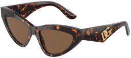 Gafas de Sol - Dolce & Gabbana - DG4439 - 502/73  HAVANA // DARK BROWN