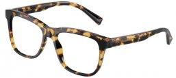 Gafas Junior - Dolce & Gabbana Junior - DX3356 - 512 HAVANA YELLOW