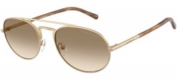 Gafas de Sol - Emporio Armani - EA2171 - 300213  MATTE PALE GOLD // BROWN GRADIENT