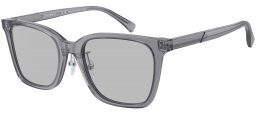 Gafas de Sol - Emporio Armani - EA4226D - 502987  SHINY TRANSPARENT GREY // LIGHT GREY