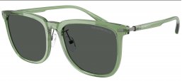 Gafas de Sol - Emporio Armani - EA4255D - 536287  SHINY TRANSPARENT GREEN // DARK GREY