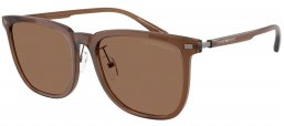 Gafas de Sol - Emporio Armani - EA4255D - 628273  SHINY TRANSPARENT BROWN // DARK BROWN
