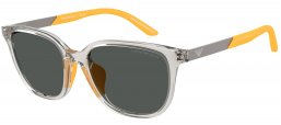 Gafas Junior - Emporio Armani Junior - EK4006U - 627987  TRANSPARENT GREY // DARK GREY