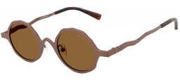 Gafas de Sol - Emporio Armani - EA2166 - 300473  MATTE BRONZE // BROWN