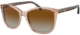 Sunglasses - Emporio Armani - EA4060 - 5850T5  TRANSPARENT TUNDRA // BROWN GRADIENT POLARIZED