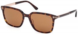 Gafas de Sol - Tom Ford - FT1183 JOCHEM - 52E  DARK HAVANA // BROWN
