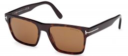 Gafas de Sol - Tom Ford - FT1205 CALDER - 52E  DARK HAVANA // BROWN