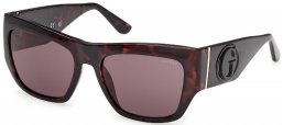 Gafas de Sol - Guess - GU00252 - 52E  DARK HAVANA // BROWN