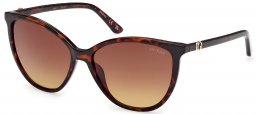 Gafas de Sol - Guess - GU00256 - 52F  HAVANA  // BROWN GRADIENT