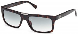 Gafas de Sol - Guess - GU00274 - 52P  DARK HAVANA // GREEN GRADIENT