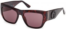 Sunglasses - Guess - GU00252 - 52E  DARK HAVANA // BROWN