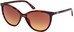 Lunettes de soleil - Guess - GU00256 - 52F  HAVANA  // BROWN GRADIENT