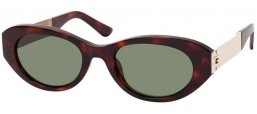 Lunettes de soleil - Guess - GU00261-H - 52N  DARK HAVANA // GREEN