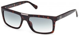 Gafas de Sol - Guess - GU00274 - 52P  DARK HAVANA // GREEN GRADIENT