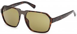 Gafas de Sol - Guess - GU00302 - 52N  DARK HAVANA // LIGHT GREEN