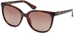 Sunglasses - Guess - GU7864 - 52H  DARK HAVANA // BROWN GRADIENT POLARIZED