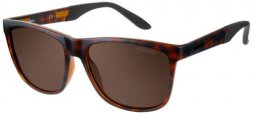 Sunglasses - Carrera - CARRERA 8022/S - DWJ (SP) HAVANA // BRONZE POLARIZED