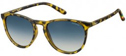 Gafas de Sol - Polaroid - PLD 6003/N - SLG (PW) HAVANA YELLOW // BLUE GREEN  GRADIENT POLARIZED