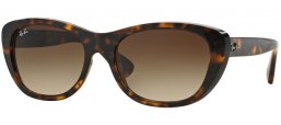 Ray-Ban® RB4227