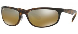 Ray-Ban® RB4265