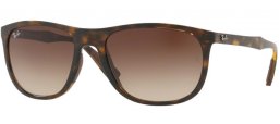 Ray-Ban® RB4291