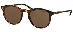 Gafas de Sol - POLO Ralph Lauren - PH4110 - 513473 SHINY ANTIQUE HAVANA // BROWN