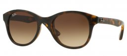 Sunglasses - Ray-Ban® - Ray-Ban® RB4203 - 710/13 SHINY HAVANA // BROWN GRADIENT