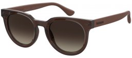 Lunettes de soleil - Havaianas - TAMBAU - 09Q (HA) BROWN // BROWN GRADIENT