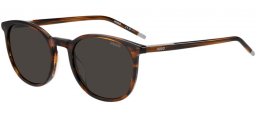 Gafas de Sol - HUGO Hugo Boss - HG 1400/G/S - EX4 (IR) BROWN HORN // GREY