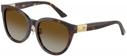 Gafas de Sol - Jimmy Choo - JC5032D - 5002T5  HAVANA // BROWN GRADIENT POLARIZED