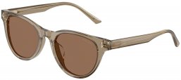 Gafas de Sol - Jimmy Choo - JC5043D - 505173  TRANSPARENT BROWN // DARK BROWN