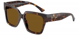 Gafas de Sol - Jimmy Choo - JC5047B - 500283  HAVANA // BROWN POLARIZED