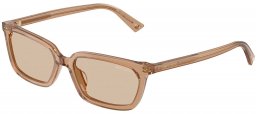 Gafas de Sol - Jimmy Choo - JC5050U - 507693  TRANSPARENT TAN // LIGHT BROWN