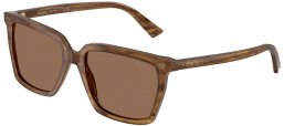 Gafas de Sol - Jimmy Choo - JC5051 - 508573  STRIPED BROWN // DARK BROWN