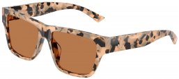 Gafas de Sol - Jimmy Choo - JC5052U - 508073  PINK HAVANA // BROWN