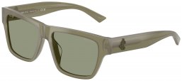 Gafas de Sol - Jimmy Choo - JC5052U - 5082/2 OPAL GREEN // GREEN