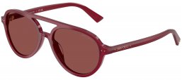 Gafas de Sol - Jimmy Choo - JC5055U - 508175  OPAL BLUEBERRY // DARK VIOLET