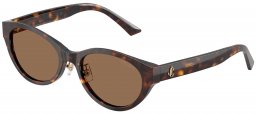 Gafas de Sol - Jimmy Choo - JC5064D - 500273  HAVANA // DARK BROWN