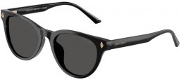 Sunglasses - Jimmy Choo - JC5043D - 500087  BLACK // DARK GREY