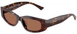 Gafas de Sol - Jimmy Choo - JC5046BU - 500273  HAVANA // DARK BROWN