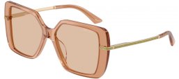 Gafas de Sol - Jimmy Choo - JC5048JU - 507693  TRANSPARENT TAN // LIGHT BROWN