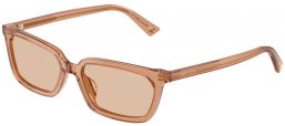 Gafas de Sol - Jimmy Choo - JC5050U - 507693  TRANSPARENT TAN // LIGHT BROWN