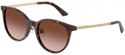 Gafas de Sol - Jimmy Choo - JC5056JD - 500213  HAVANA // BROWN GRADIENT