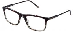 Frames - Lozza - VL4237 BIELLA 2 - 03AM  SHINY STRIPED GREY