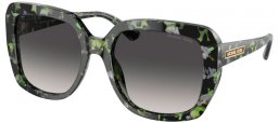 Gafas de Sol - Michael Kors - MK2140 MANHASSET - 39478G  GREEN // GREY GRADIENT