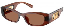 Gafas de Sol - Michael Kors - MK2243U RHODES - 402173  TRANSPARENT BROWN // BROWN