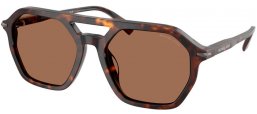 Gafas de Sol - Michael Kors - MK2251U JACKSON HOLE - 300673  DARK TORTOISE // BROWN